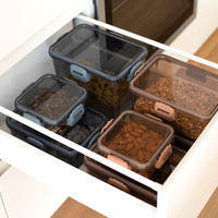 nBuckle Dried Food Container 0.55L